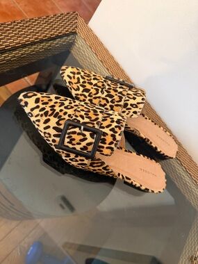 Halogen Leopard Print Buckle Mules in Tan and Black fits like an 8.5 - 9